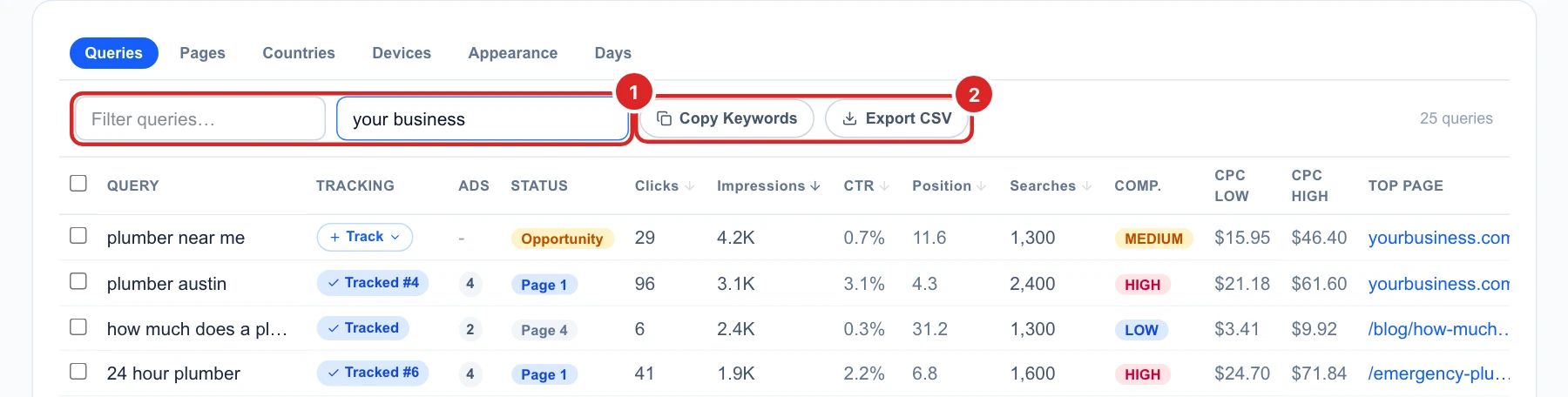The Queries table with your business typed in Exclude terms, leaving 25 queries, and the Copy Keywords and Export CSV buttons