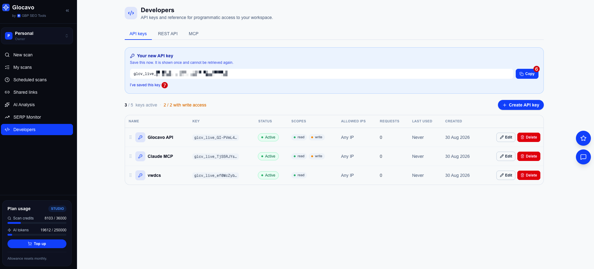 The one-time banner showing the new API key with a Copy button