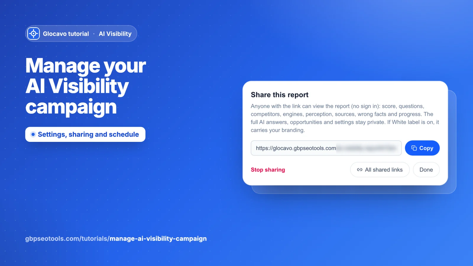 Manage your AI Visibility campaign
